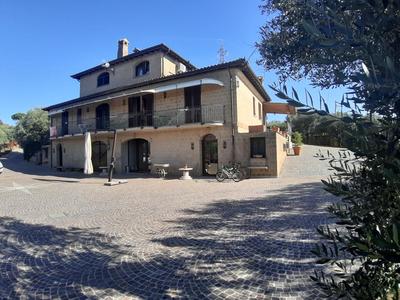B&B LE BACETTE