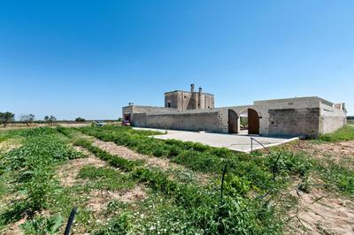 Masseria Pezza