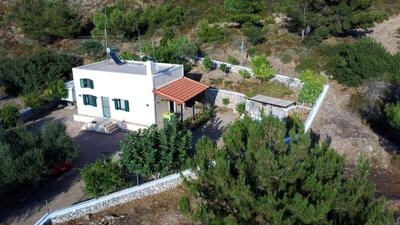 Dora's House