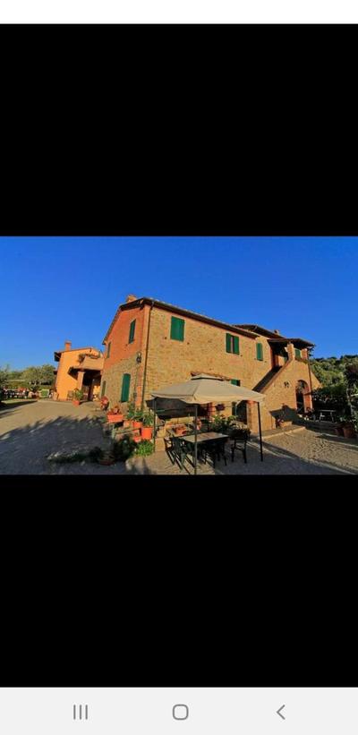 La Piaggiola degli Olivi