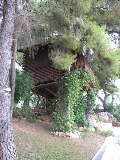 The House of Gratitude - Poolside Retreat