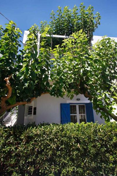 Studios Vasilis