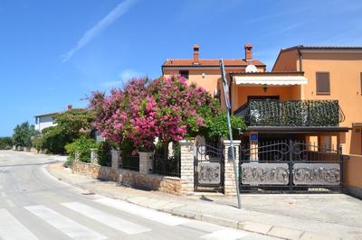 Viola Istra Guest House