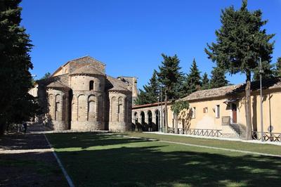 Il Falco e Il Gabbiano