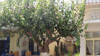 Mouroukis Rooms