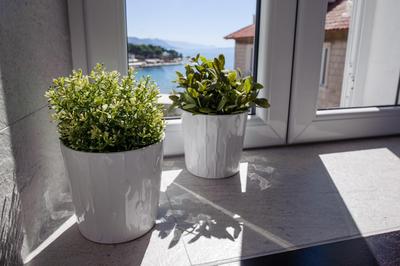 LUXURY APARTMENt DRAGA