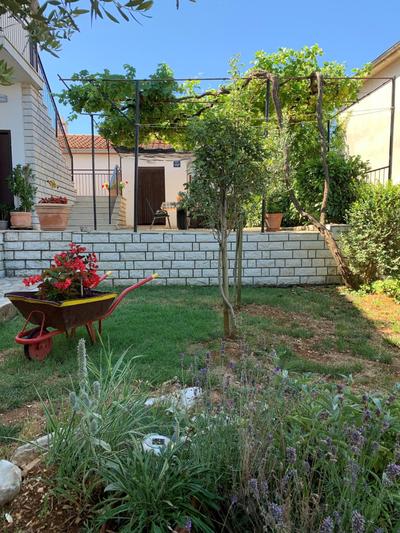 House Dorina