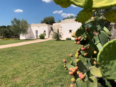 The Paradise - Il Paradiso di Ostuni