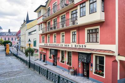 Hotel Drei Hasen