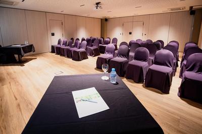 Suites Plaza Hotel & Wellness