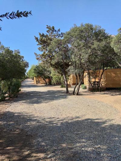 New Camping Coccorrocci