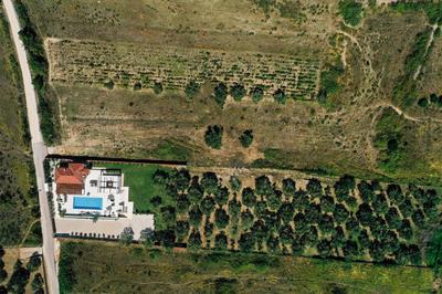 Villa Olivetum