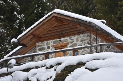 The "small" Alpine Chalet & Dolomites Retreat
