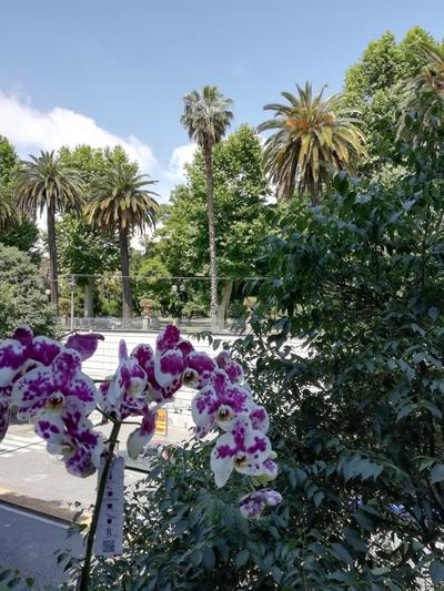 Botanic Charm