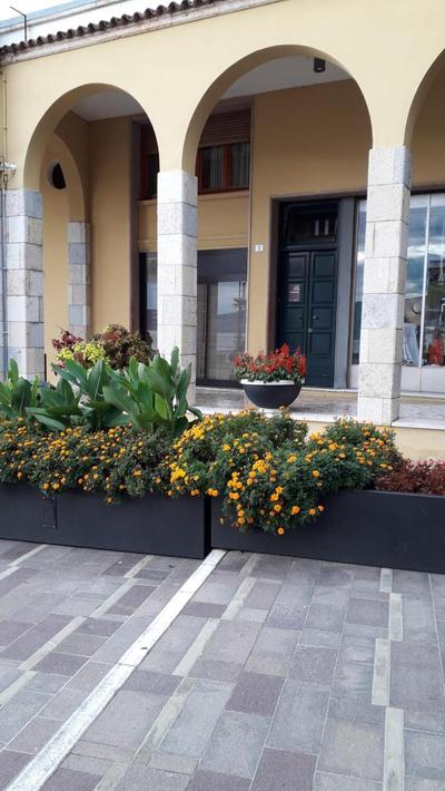 Camere Al Veliero