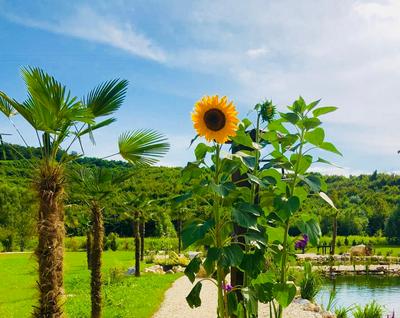 Private Village Resort