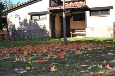 Complejo Camping La Mata
