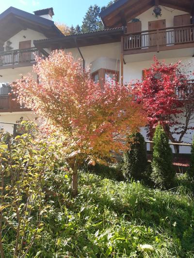 Locanda Rondolost