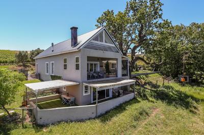 Wildlife Retreat on a Wine-Farm