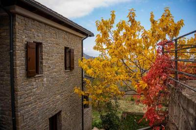 Pefkofyto Mountain Retreat