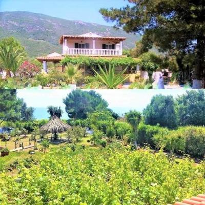 TETRAKTYS ESTATE beachside seaview 3 bedrooms Αήρ