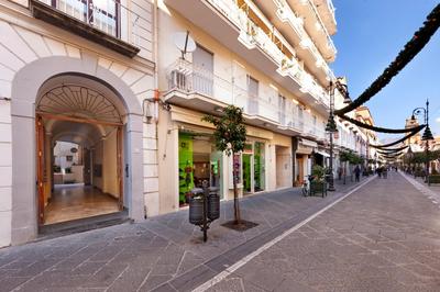 Luxury&Romantic Apartment with Balcony in Sorrento
