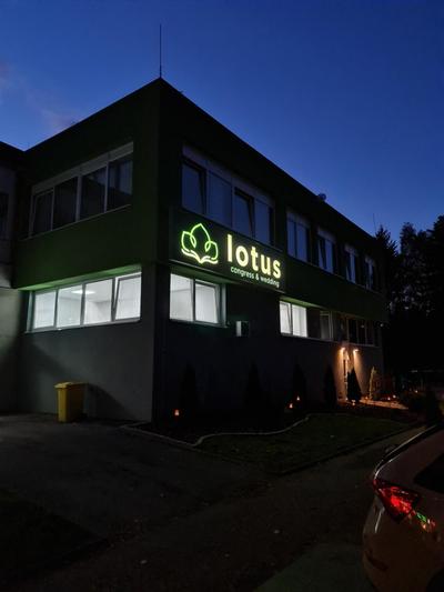 ELVIRA SELECTION by Lotus