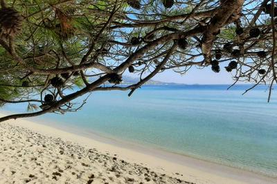 Apartment Francesca Beach with Pool in Playa de Alcudia
