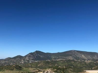 Casas PARAJE NATURAL