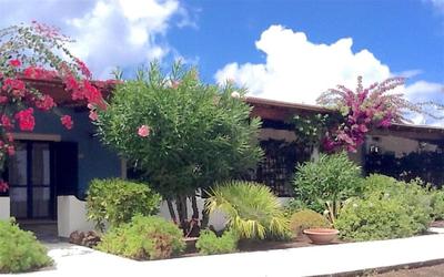 Charming House Lentia + Pool