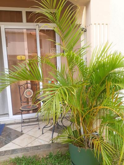 Elegant Apartment in Flic en Flac + Pool
