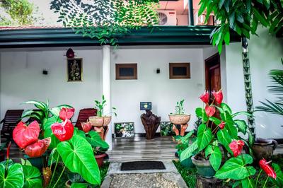 Yala New Nehansa Resort