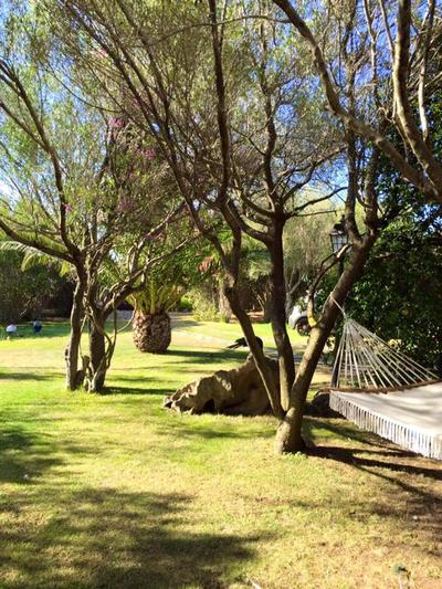 Charming Studio in Olbia with Garden, 35 m²
