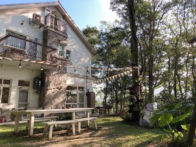 Green Wave Sanyi BY REINDEER