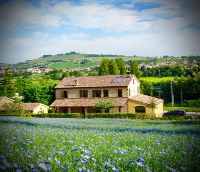Bright apartment in Castelbellino - 75 m² - Shared Pool
