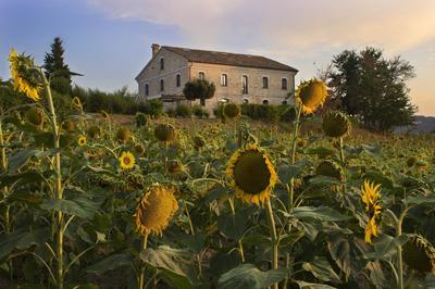 Spacious villa in Montecarotto with mountain view and pool