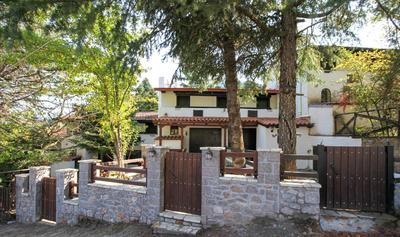 Dandy Villas Agoriani - Chalet Ivoni - Fireplace