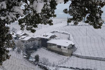 Weingut Eberlehof