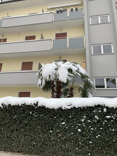 CEJM Apartments Merano