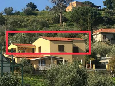Casa delle palme
