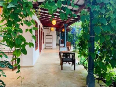 Mirissa Blue Whale Holiday Hotel