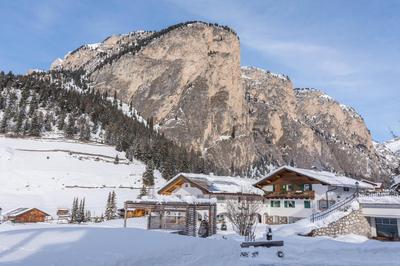 Panoramico Haus Forelle