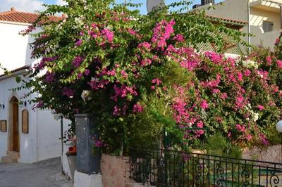 Villa Seaview by Myseasight