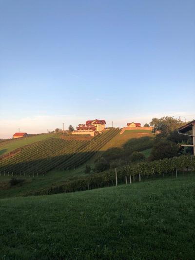 B&B OPG Culig