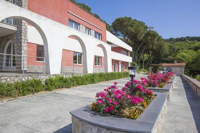 Amore Rentals - Villa Daniela