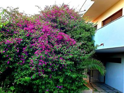 Garden House Pompei Vesuvio