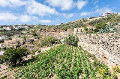 Eco Holidays House Raíces