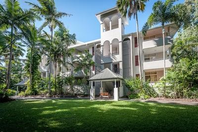 Oasis at Palm Cove
