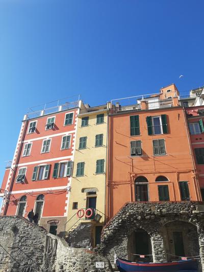 Pepita di Rio