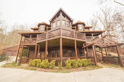 Secluded Cabin near Downtown Blue Ridge